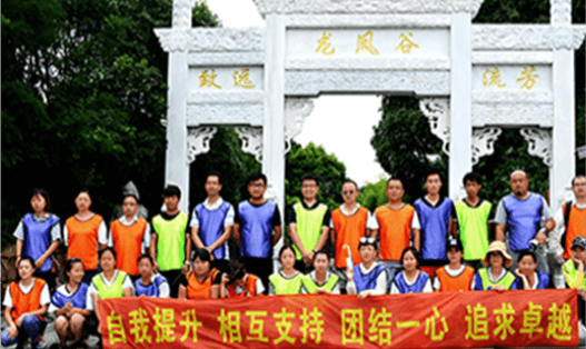 OUR TEAM